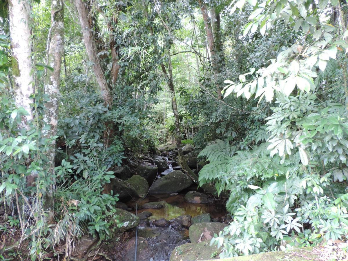 度假居 Casa Orquideas Da Lagoinha